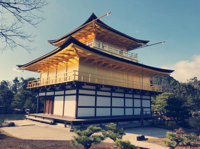 大阪近郊隱世桃源！奈良公園與鹿群共遊的治愈時光】**  
