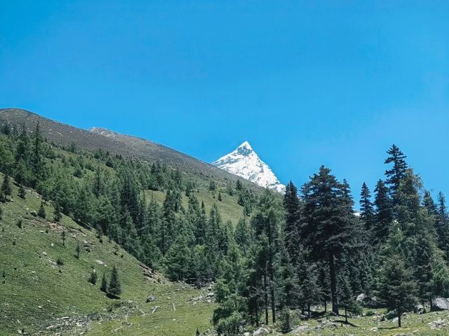 尋找去四姑娘山嘅旅遊搭子