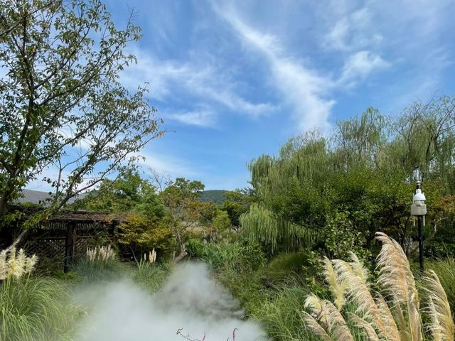 去咗4次禪意小鎮·拈花灣，終於玩到明！
