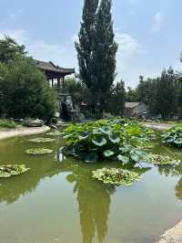 China National Botanical Gardens in Beijing!