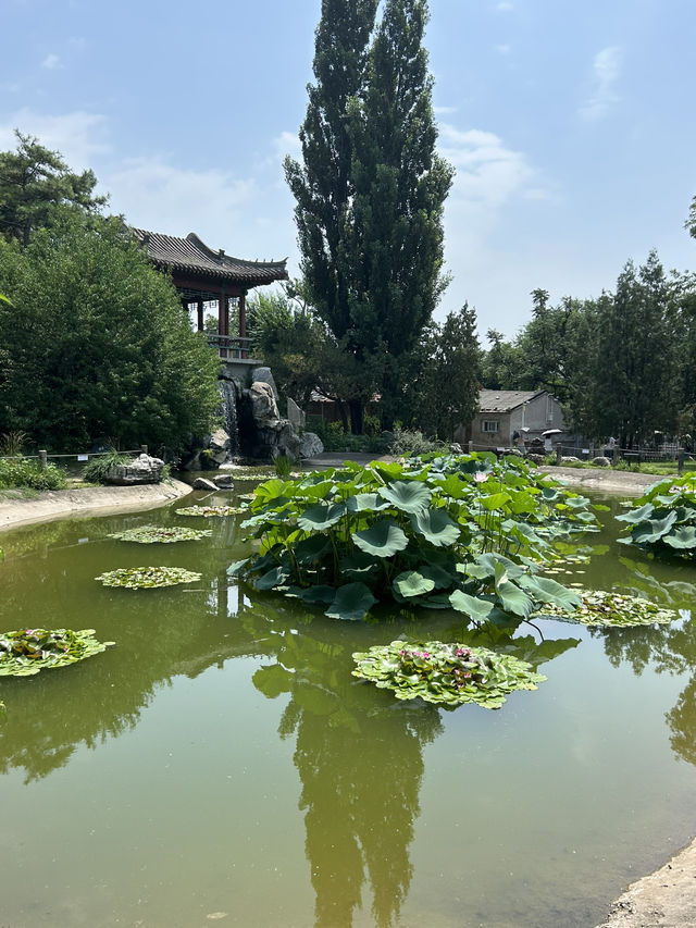 China National Botanical Gardens in Beijing!