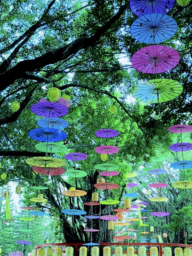 哇趣，呢度係深圳？各位家人