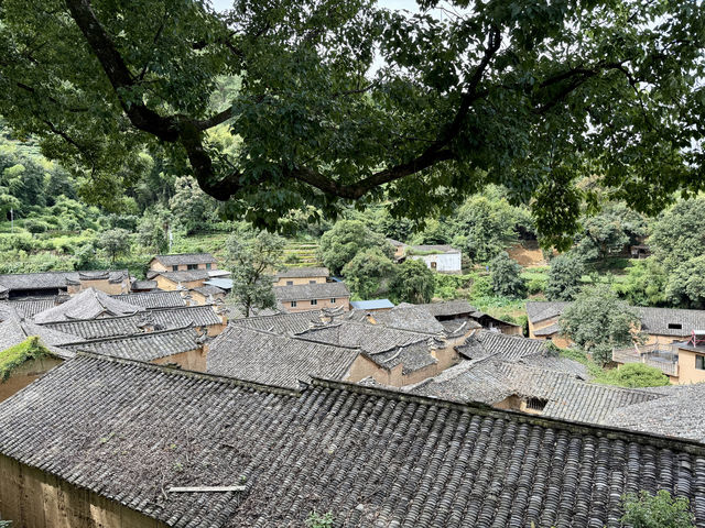 麗水3—5日遊