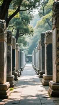 許慎文化園深度遊