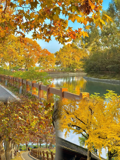 水墨画 自然景観 橋と木 大道作 水墨画 自然景観 橋と木 大道作 秋の絶景。 #四川 #秋 #癒し風景 |