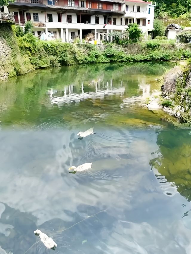 穿越時空！寧波周邊竟藏著“小香格里拉”