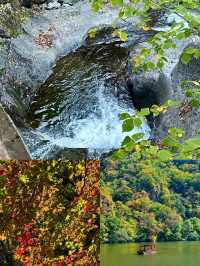 關門山賞楓全攻略 秋天到了，和大橘一起去賞秋