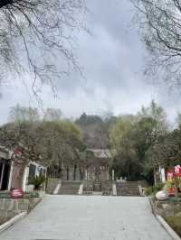 遠古回聲——藍田猿人遺址的時空旅程