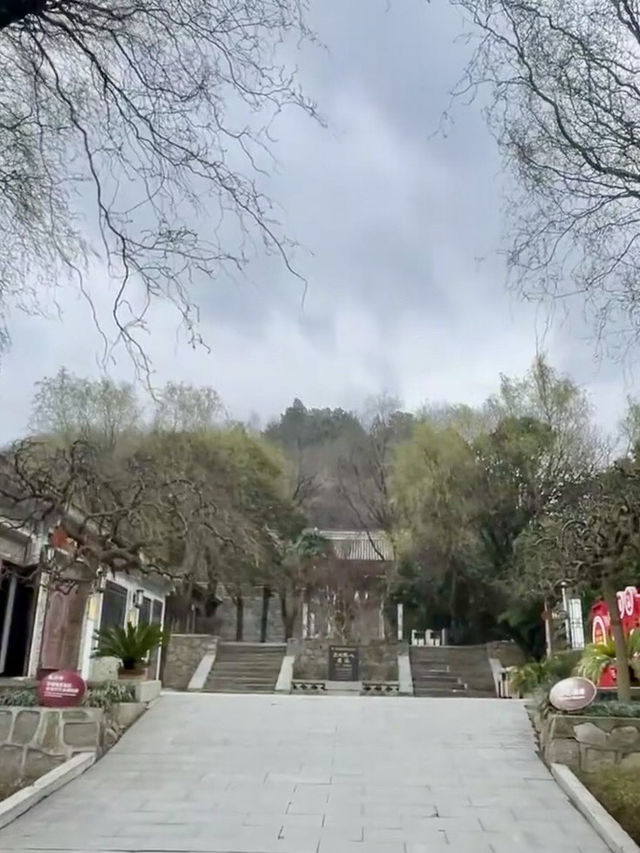 遠古回聲——藍田猿人遺址的時空旅程