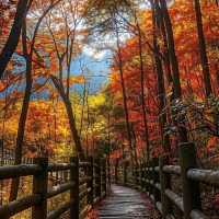 濟南紅葉谷一日遊攻略
