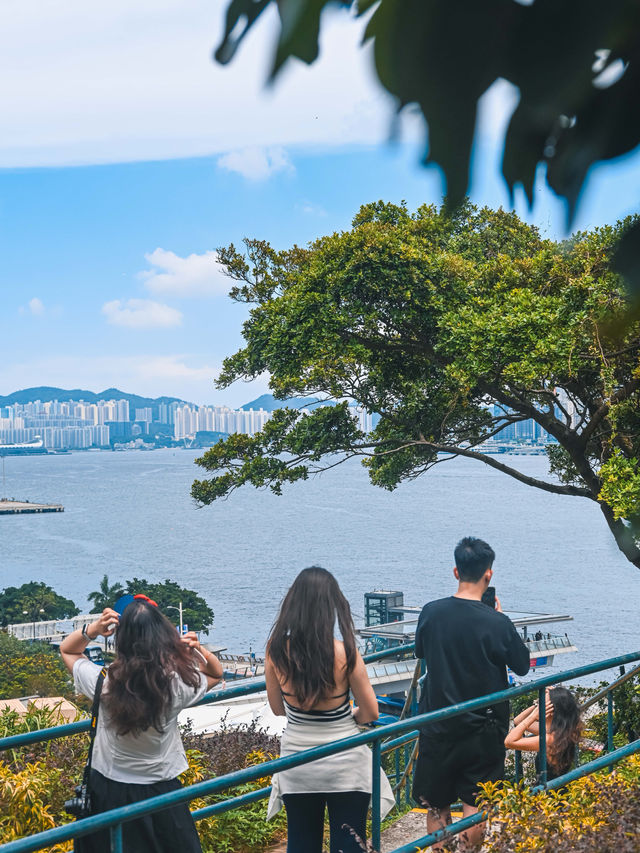 香港小眾打卡｜香港訊號山花園