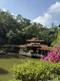 仙湖植物園：深圳綠肺，藏盡四季植物奇觀