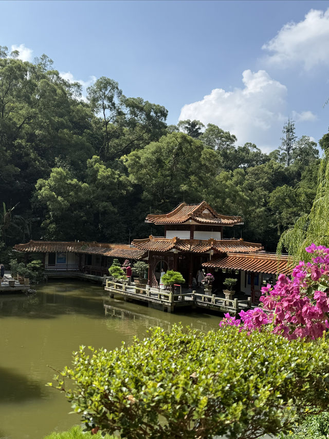 仙湖植物園：深圳綠肺，藏盡四季植物奇觀