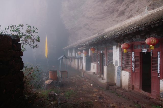 迷境尋鮮