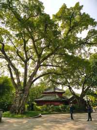 歡迎來鵝嶺公園遊玩打卡