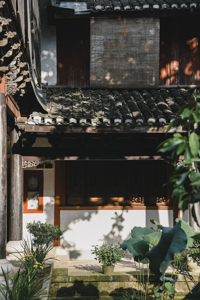 秋風微涼，稻穀滿倉：記第四次去國清寺