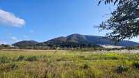 箱根濕生花園 —— 低調、但不可錯過的地方