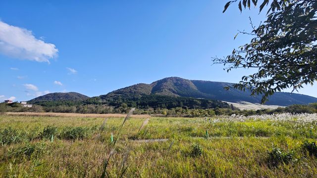 箱根濕生花園 —— 低調、但不可錯過的地方
