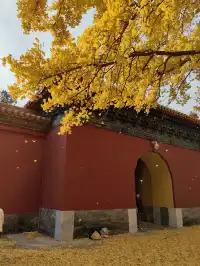 跟風成功！北京賞秋打卡地詳細路線