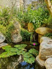 曬曬我的聯排中戶花園｜小戶型的精緻生活