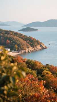 #西山島桂花綻放 【蘇州西山島·秋日慢生活兩日遊攻略】 位於太湖中央的西山島,是江南最大的淡水島,四