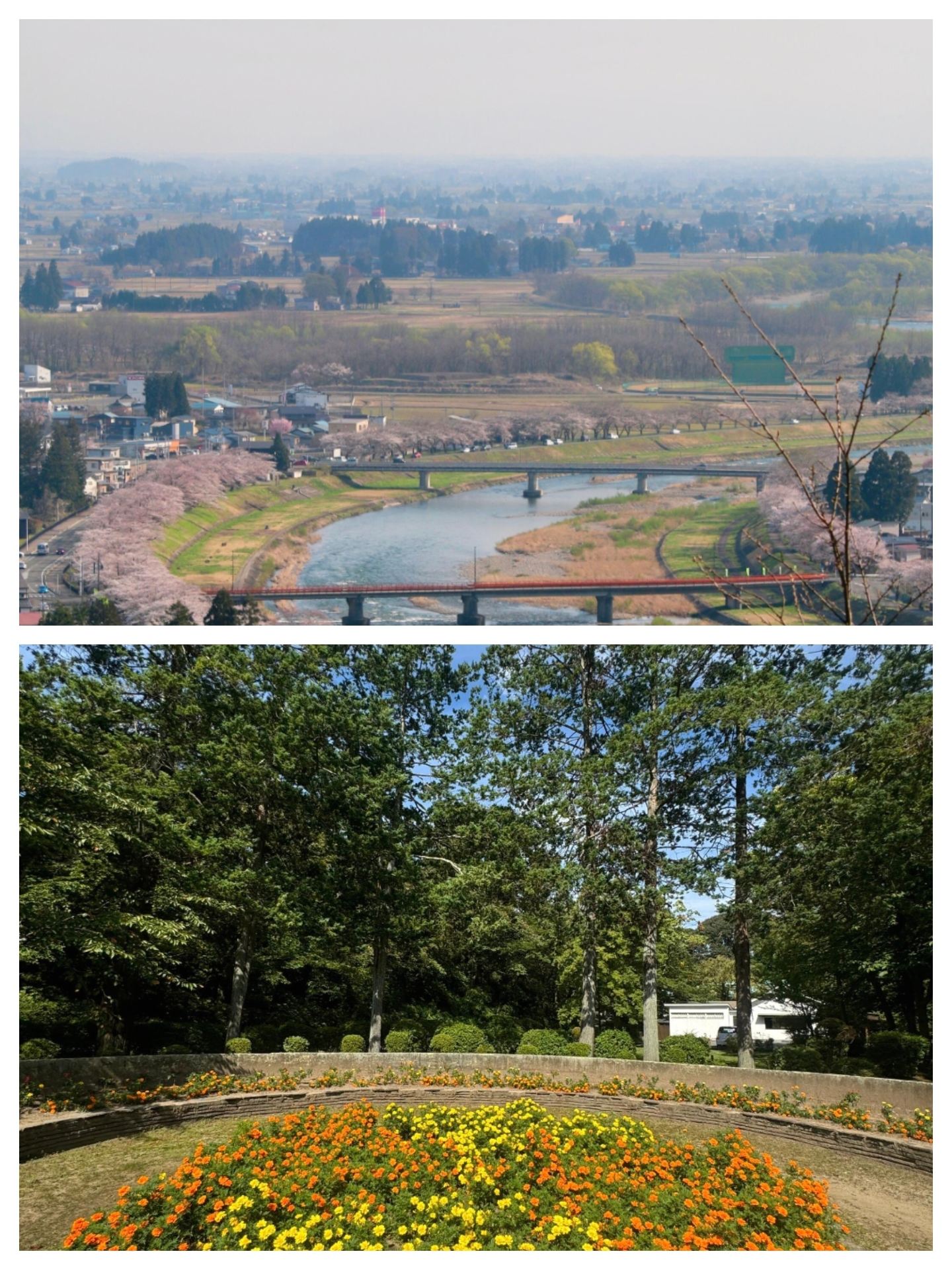 Akita: The Secret Beauty in the Flow of Four Seasons