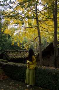 漢中 | 瞿家大院 |好像真的穿越了