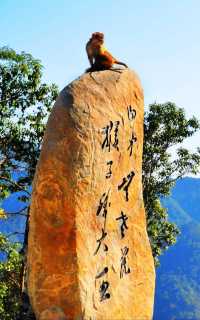 絕美瀑布打卡地