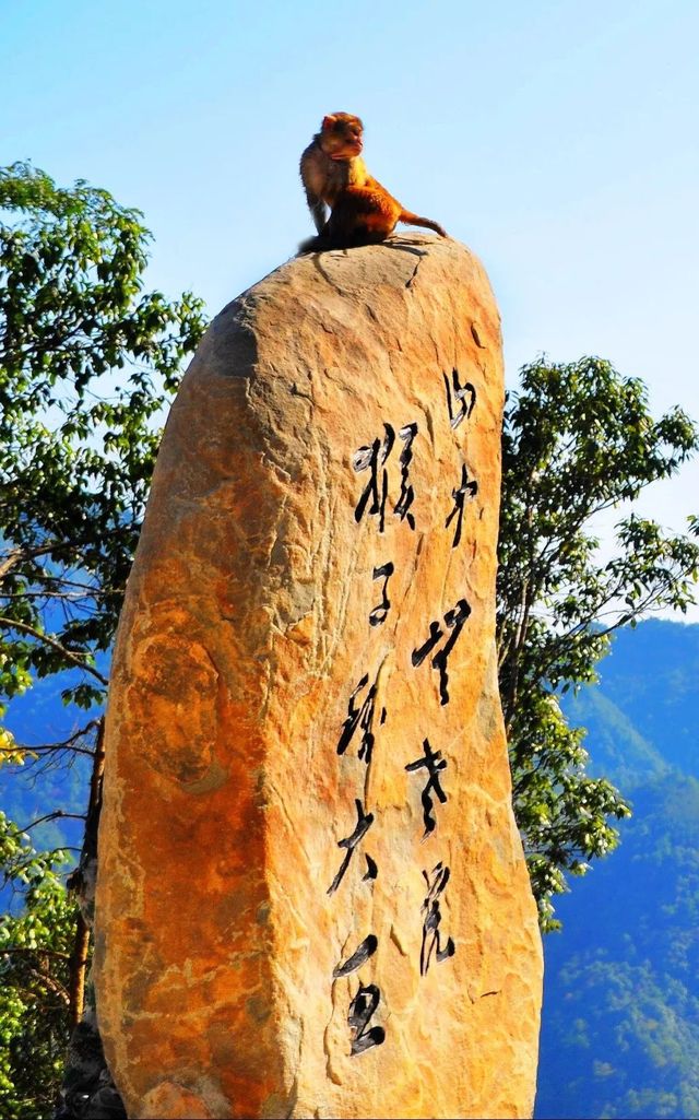 絕美瀑布打卡地 絕美瀑布打卡地