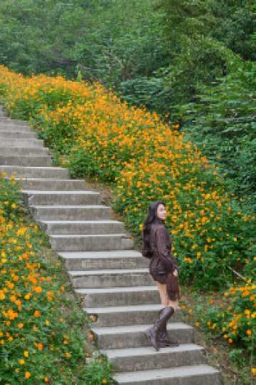 山花燦爛正當時,955階登頂江夏龍泉山