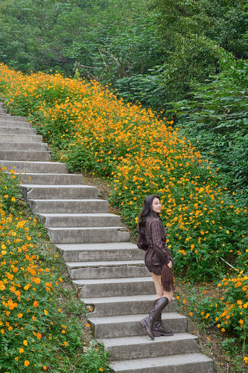 山花燦爛正當時,955階登頂江夏龍泉山 山花燦爛正當時,955階登頂江夏龍泉山