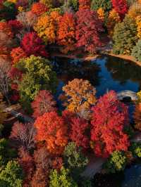 秋天的調色盤被打翻在雲平山絕美秘境等你來打卡!