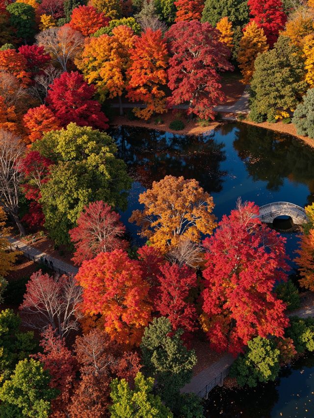 秋天的調色盤被打翻在雲平山絕美秘境等你來打卡! 秋天的調色盤被打翻在雲平山絕美秘境等你來打卡!