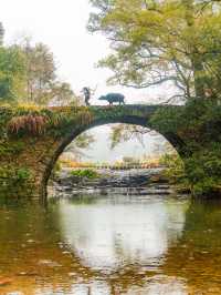 婺源秋日童話古村