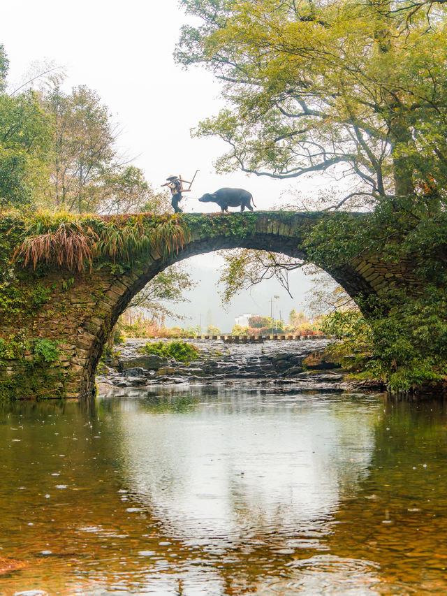 婺源秋日童話古村