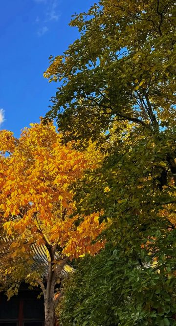 北京最美之秋——北京頤和園 北京最美之秋——北京頤和園