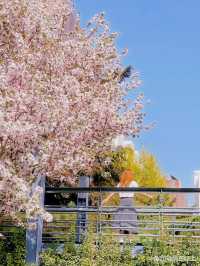 俯瞰城市絕美日落