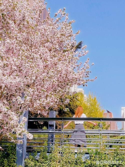 俯瞰城市絕美日落