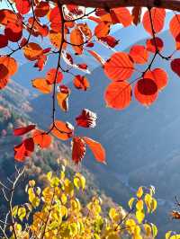 私藏!北京絕美紅葉秘境不用人擠人也能拍大片!