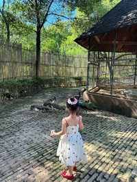 寧波一日遊!寧波野生動物園遛娃全職業攻略!