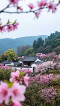 江西九江旅遊攻略。廬山旅遊攻略。