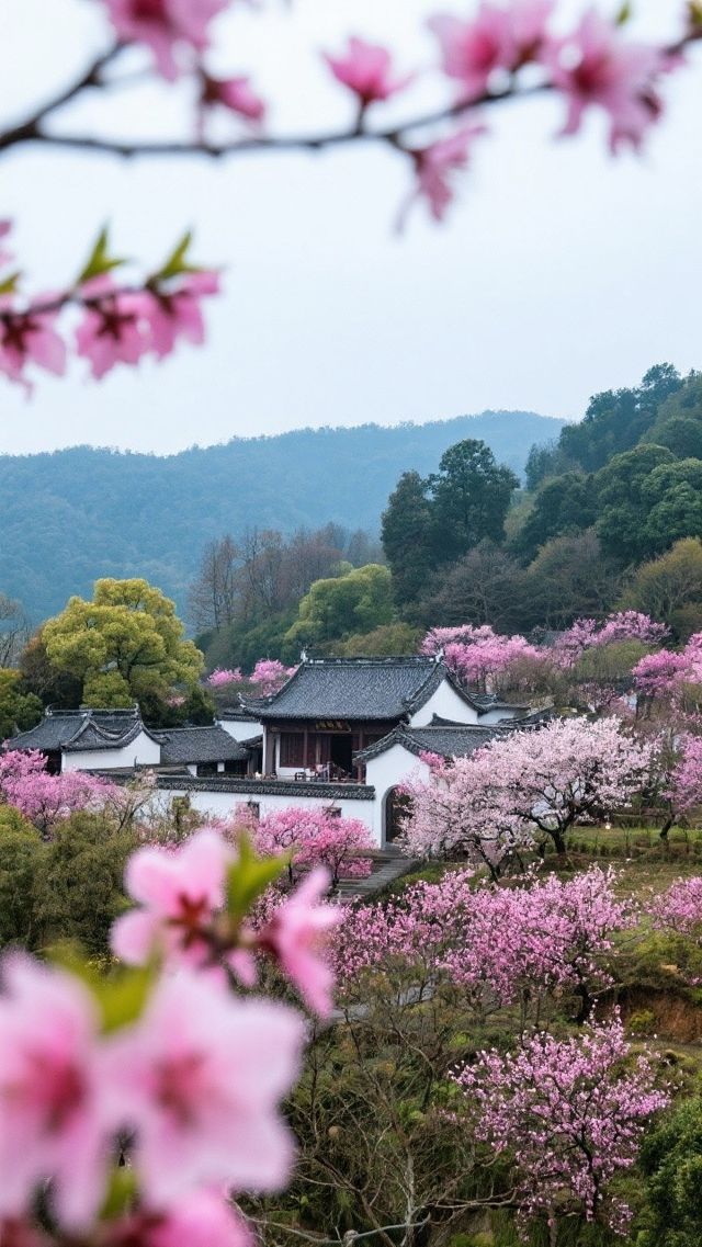 江西九江旅遊攻略。廬山旅遊攻略。