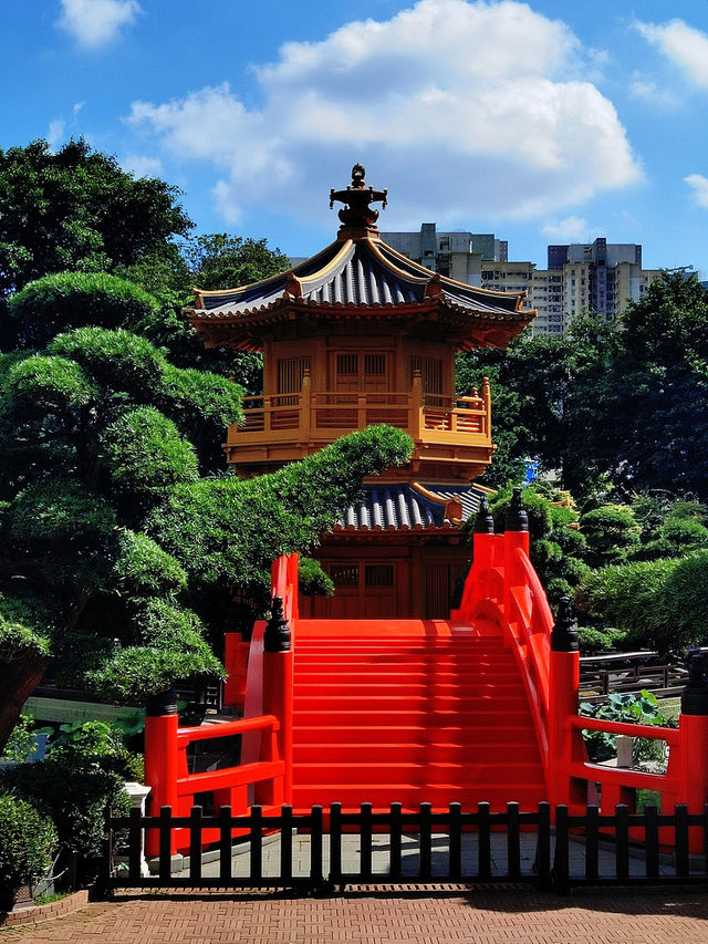 Hong Kong Photo Secrets: 6 Hidden Gems to WOW Everyone! Hong Kong Photo Secrets: 6 Hidden Gems to WOW Everyone!