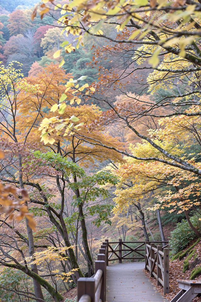 北京密雲紅花峪這才是秋日的私藏秘境！0元人少景美絕絕子