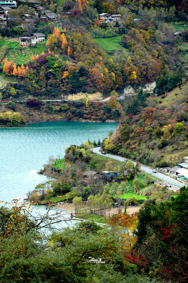 這裡的秋色不等人