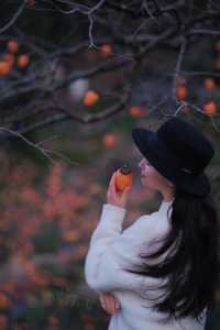 在溫州拍到了刷爆朋友圈的“柿柿”如意