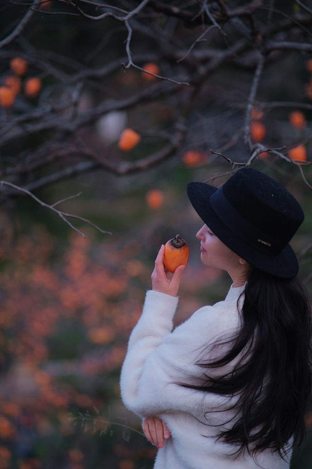 在溫州拍到了刷爆朋友圈的“柿柿”如意