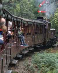 墨爾本｜蒸汽火車與企鵝歸巢-14人團旅行