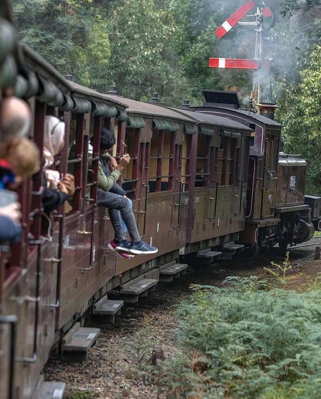 墨爾本｜蒸汽火車與企鵝歸巢-14人團旅行