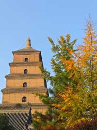 西安必打卡大雁塔這麼玩才不虧！